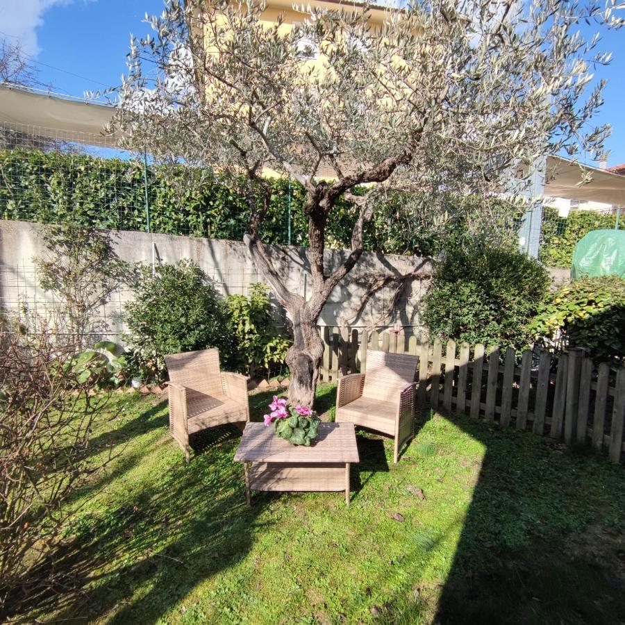 Nonna Lella - Appartamento Con Parcheggio Privato Montepulciano Stazione Exteriér fotografie